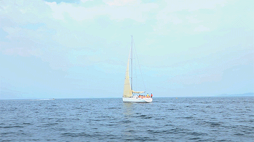 201911141109514222137 2.gif