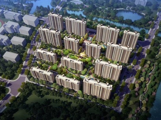 s-545-409-201911260958487221204