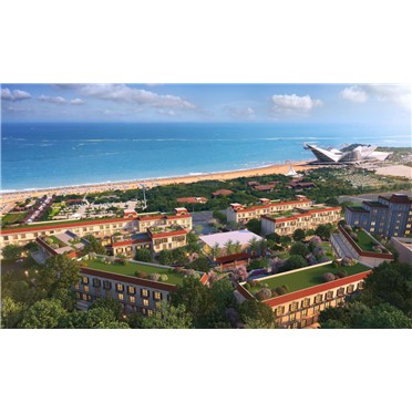 s-372-373-202101251749451611004