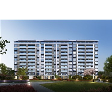 s-372-373-202101261452397380968