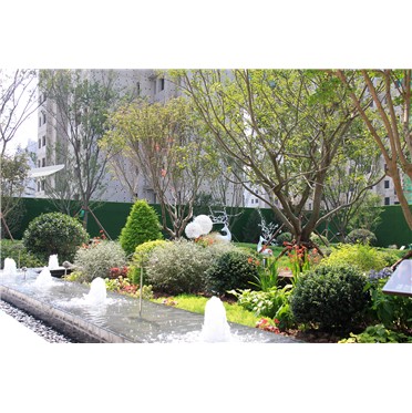 s-372-373-202211211542384861256