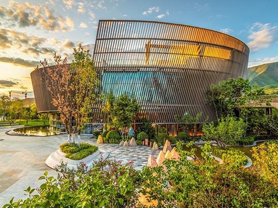 s-545-409-202308161812520777501