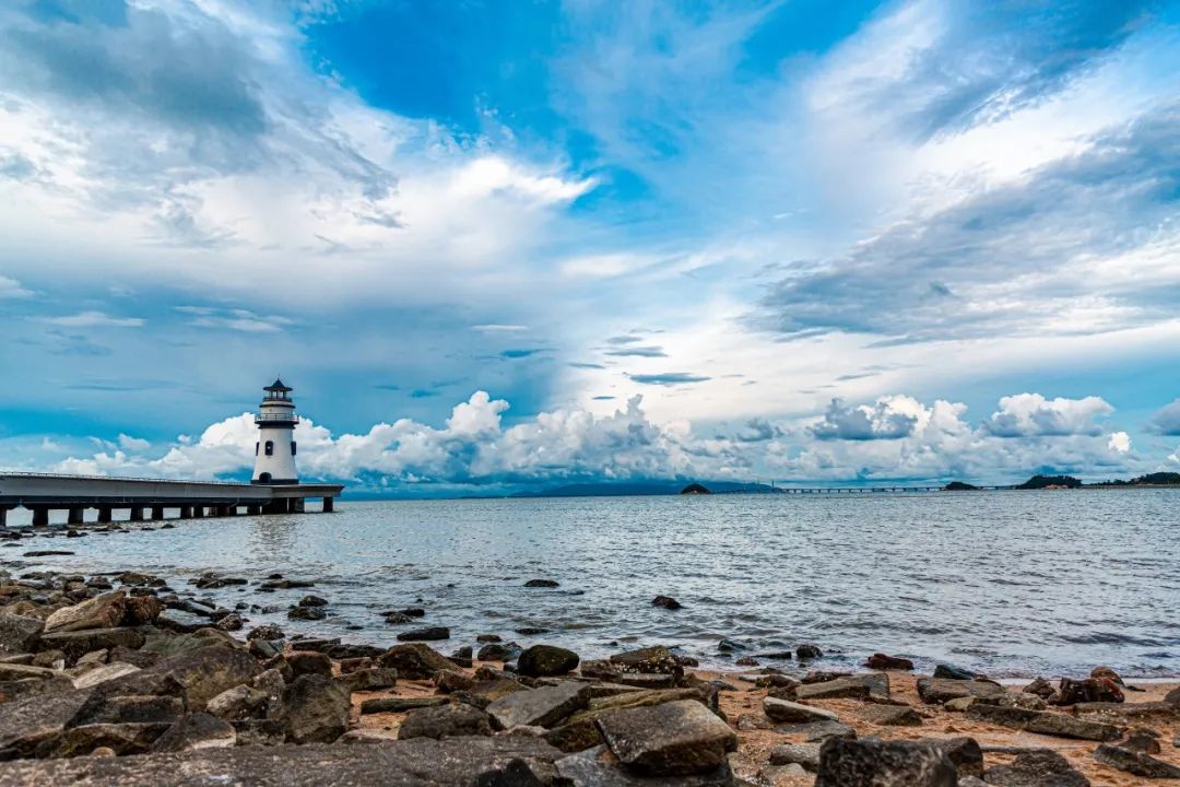 202312251741195799672