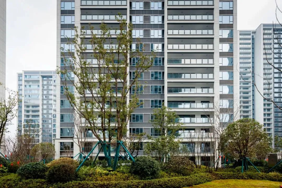 202403041552116380867