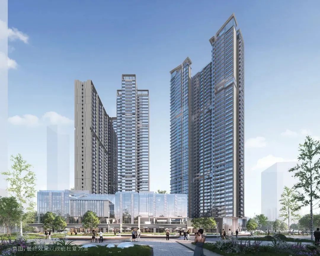 202403041553519364525