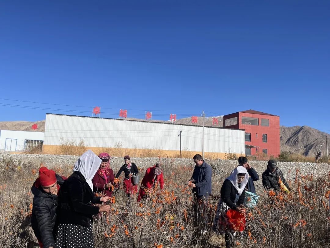 202407191007231609803