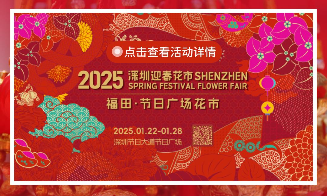 202502141523119703828