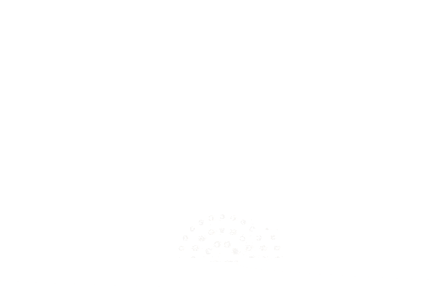 202601061712364150917 202601061712364150917